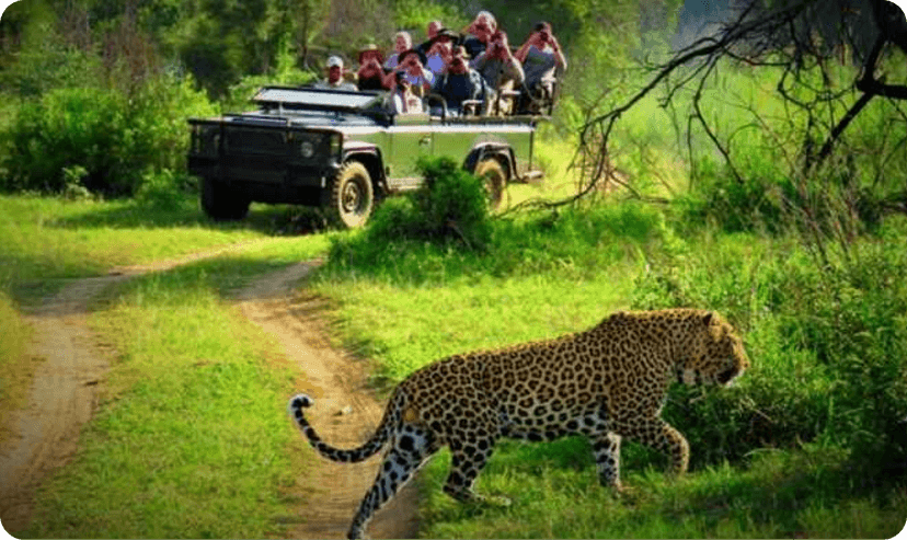 Popular destination 4